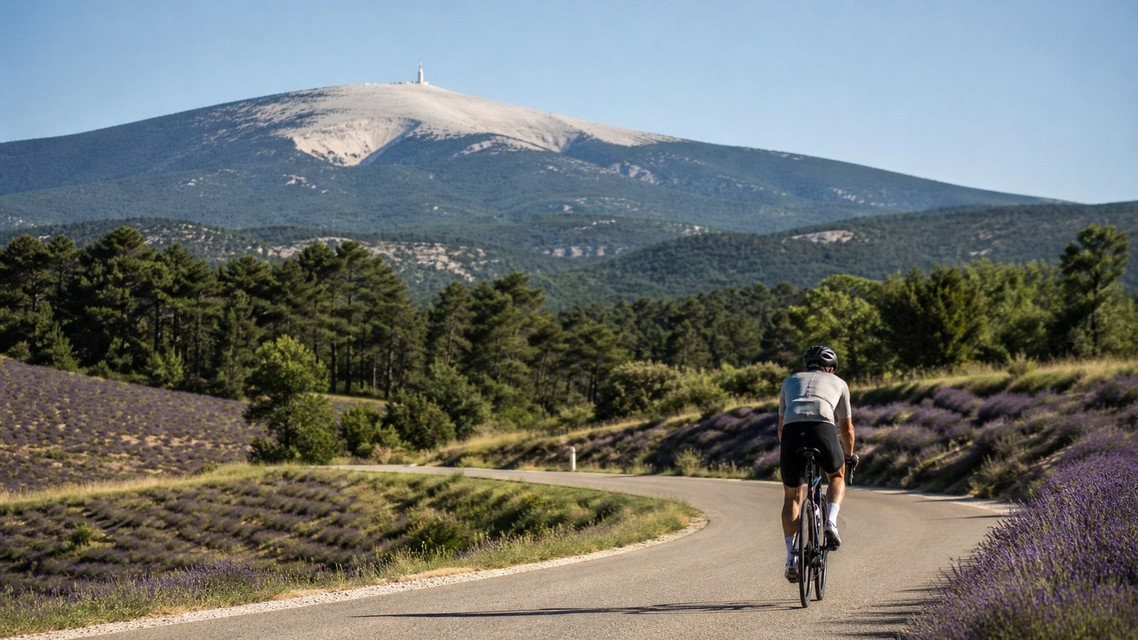 Cycliste sur la route de Sault face au Mont Ventoux