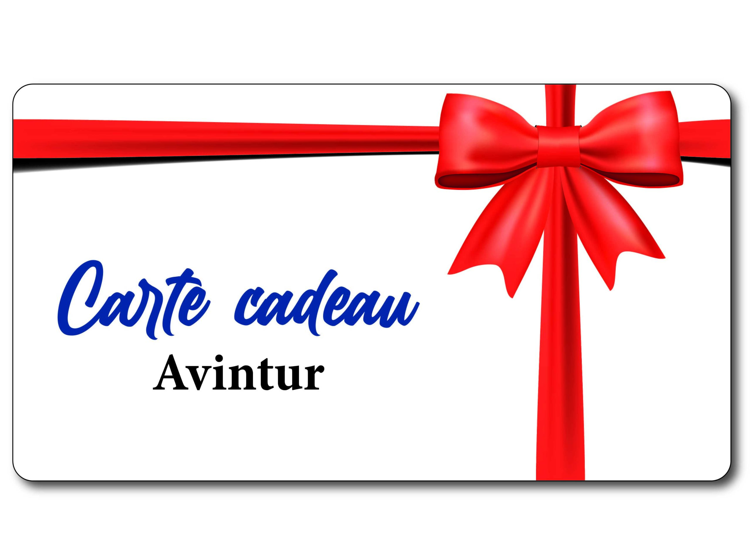 Carte cadeau Avintur